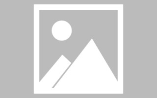 阳春无经验做网页设计（0经验网页设计急招学员）